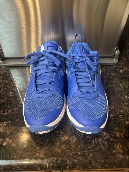 Nike Other - Nike Ja 1 TB Game Royal White Basketball FV1303-400 size 8.5